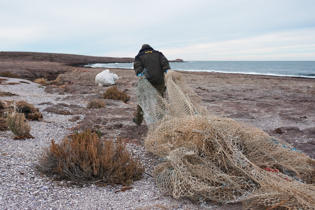 Sustainability efforts by Peanut Butter & Co include cleaning up plastics in the ocean.
